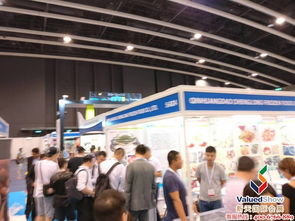 新天会展 连接世界的专业展会服务伙伴